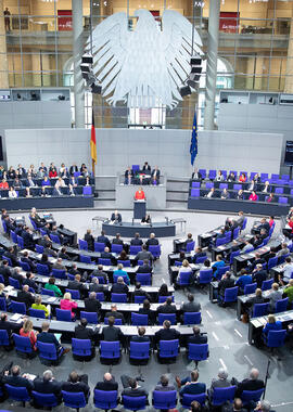 Bundestag