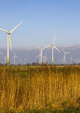 EU Green Deal Windenergy