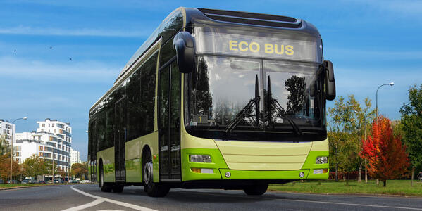 Eco Bus