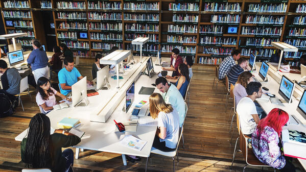 Bildung und Hochschule